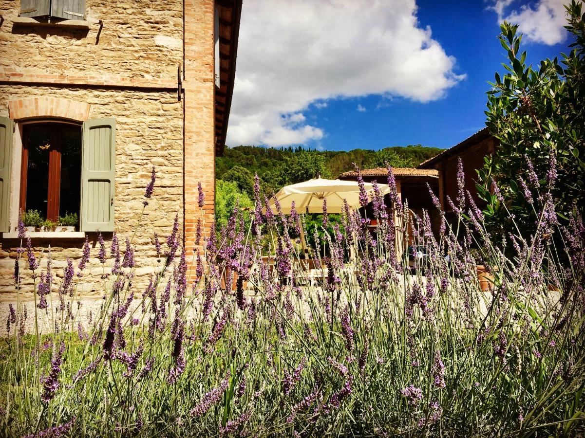 Il Cardello Locanda Bed and Breakfast Casola Valsenio Exterior foto