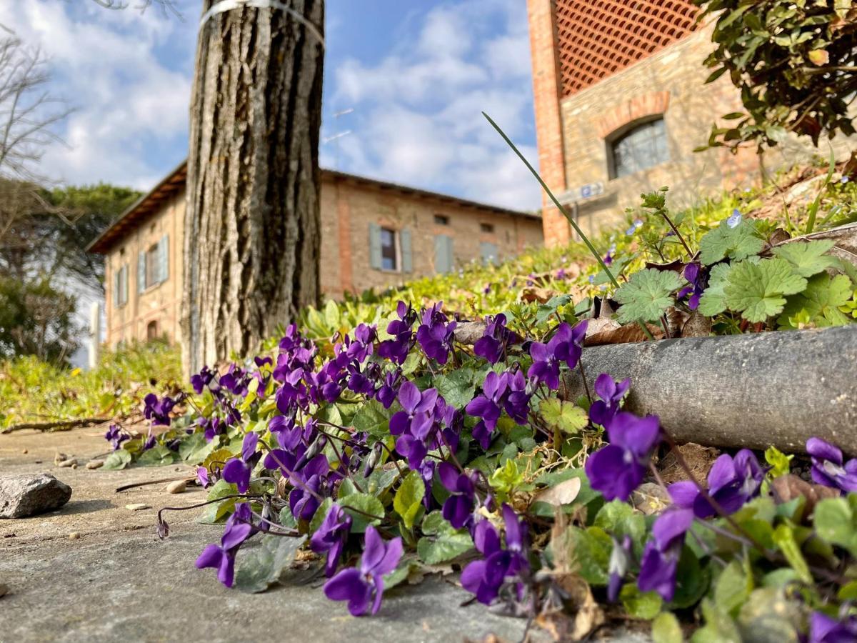 Il Cardello Locanda Bed and Breakfast Casola Valsenio Exterior foto